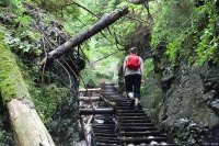 爬大悟仙居顶徒步超健康，绿树成荫空气纯净，天然氧吧！