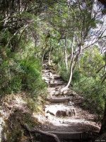 东莞桥头岭头村徒步超健康，山林小路空气清新，吸氧放松！