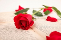 2025年河南心理健康咨询机构权威推荐：河南婚姻心理咨询/河南家庭心理咨询/河南心理咨询机构服务中心精选