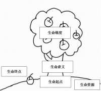 中学生命教育主题课程框架和实践探究