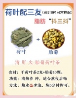 荷叶加什么减肥效果最好？搭配什么食材燃脂快？