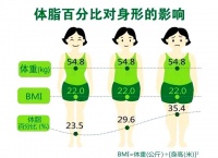 降低体脂率与健康饮食的科学指南