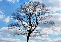 水肿型肥胖怎么减肥好