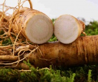 鲜人参晚上可以吃吗？营养专家解析食用时间与健康影响