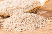 高粱米煮饭的魅力探索——解锁不一样的美食世界！