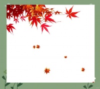 小米与高粱：日常饮食中的健康奥秘