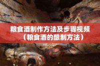 粮食酒制作方法及步骤视频（粮食酒的酿制方法）