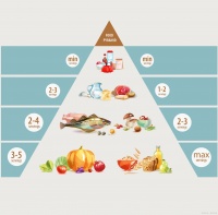 国家官方膳食指南全解读！8条黄金法则，吃出健康好身体