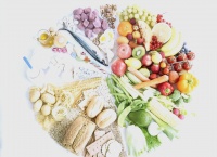 2022中國居民膳食指南：健康飲食的八大要點