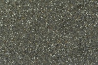 健康网红食品也有坑？奇亚籽的危害你了解多少