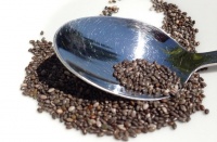 奇亚籽是什么东西 奇亚籽的功效与作用及禁忌→十大品牌网