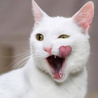 什么是健康家電?