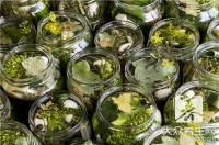 怎样喝盐水减肥比较好？