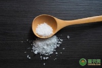 粗盐是什么盐？粗盐和细盐有哪些区别？