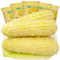 享受健康美味：有机白糯玉米的魅力之旅