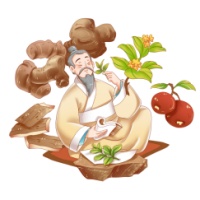 以“艾”为引：解锁中医减肥的温和之力