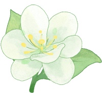 三伏天减肥运动指南：解锁“黄金30天”的运动密码