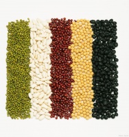 秋天健康营养笔记：素食者如何补充蛋白质