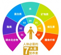 健康饮食金字塔：营养素平衡与多样性