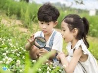 婴儿抚触油与妊娠油、精油、润肤油等产品区别主要在哪抚触油和精油的区别