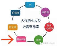 买一送一！纽畅?水溶性膳食纤维+益生元?减肥/通便