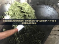 碧生源玫瑰红茶功效解析指南：真的能减肥吗？如何正确饮用？2025年必看实测秘籍与避坑攻略！