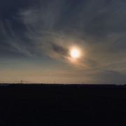 碧生源减肥茶主要原料...