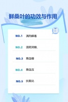 鮮桑葉的功效與作用