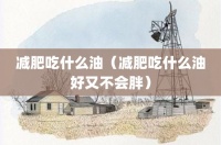 減肥吃什么油（減肥吃什么油好又不會胖）