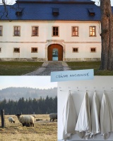 體驗“匠心”古方傳承的療愈力量 Fresh馥蕾詩古源修護滋養(yǎng)面霜