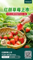 京東七鮮產(chǎn)地直采紅顏草莓29.8元低價(jià)來(lái)襲！小雪滋養(yǎng)又有新方式