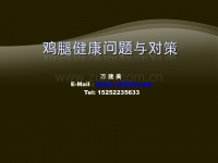 雞腿健康問(wèn)題與對(duì)策PPT課件.pptx