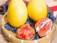 低糖的水果有哪些 低糖的水果有什么