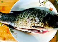 吃魚的健康益處與需注意的魚類選擇