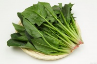 擁抱粗纖維蔬果，邁向健康生活的必備指南