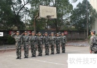 瘦身樹形技巧：輕松塑形