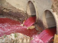 職場健康與生活平衡：如何在高風險和高薪之間抉擇