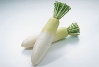 白蘿卜會(huì)長(zhǎng)胖嗎？熱量高嗎？一文揭秘白蘿卜的營(yíng)養(yǎng)真相