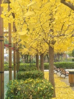 冬季隱形失水需警惕！電解質(zhì)補(bǔ)充有講究