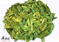 番瀉葉泡茶喝的禁忌和副作用