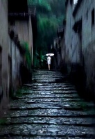 詩(shī)歌中的深情與無(wú)奈：解讀詩(shī)歌魅力與誤解