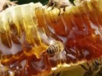 揭秘三款優(yōu)質(zhì)蜂蜜，追求健康生活的最佳選擇！