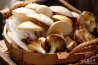 減肥食譜中午 什么是減肥食譜