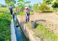 從城市廁所中排出的糞便都去哪里了？