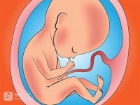 未出生的寶寶糞便都去哪了？醫(yī)生作出解釋，網(wǎng)友：被自己惡心到了