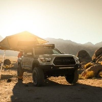 大便從哪個器官排出？