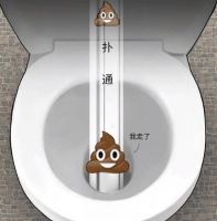 科普！我們拉的屎都去哪了？