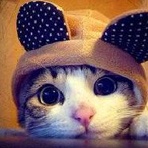 人體排泄物都去了哪里?如何治理的?