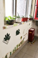 樓道變美了，來看看他們都是怎么做到的｜美麗樓道