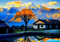 健康生活的选择：珍惜当下，选择未来